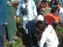 Segunda Caminata por el arroyo Saladillo